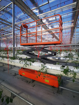 High Flexibility  Scissor Lifts Vegetable Pickers For Greenhouse