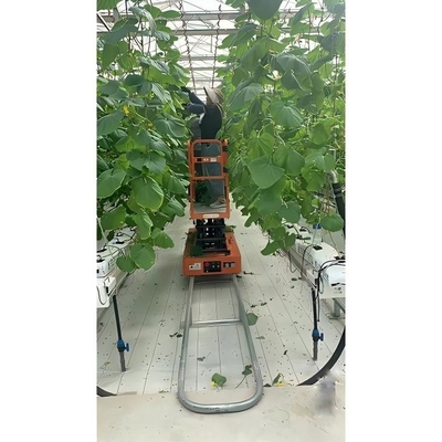 Scissor Lift Vegetable Picker Rail Trolley GL Series 5.0m ~ 6.0m